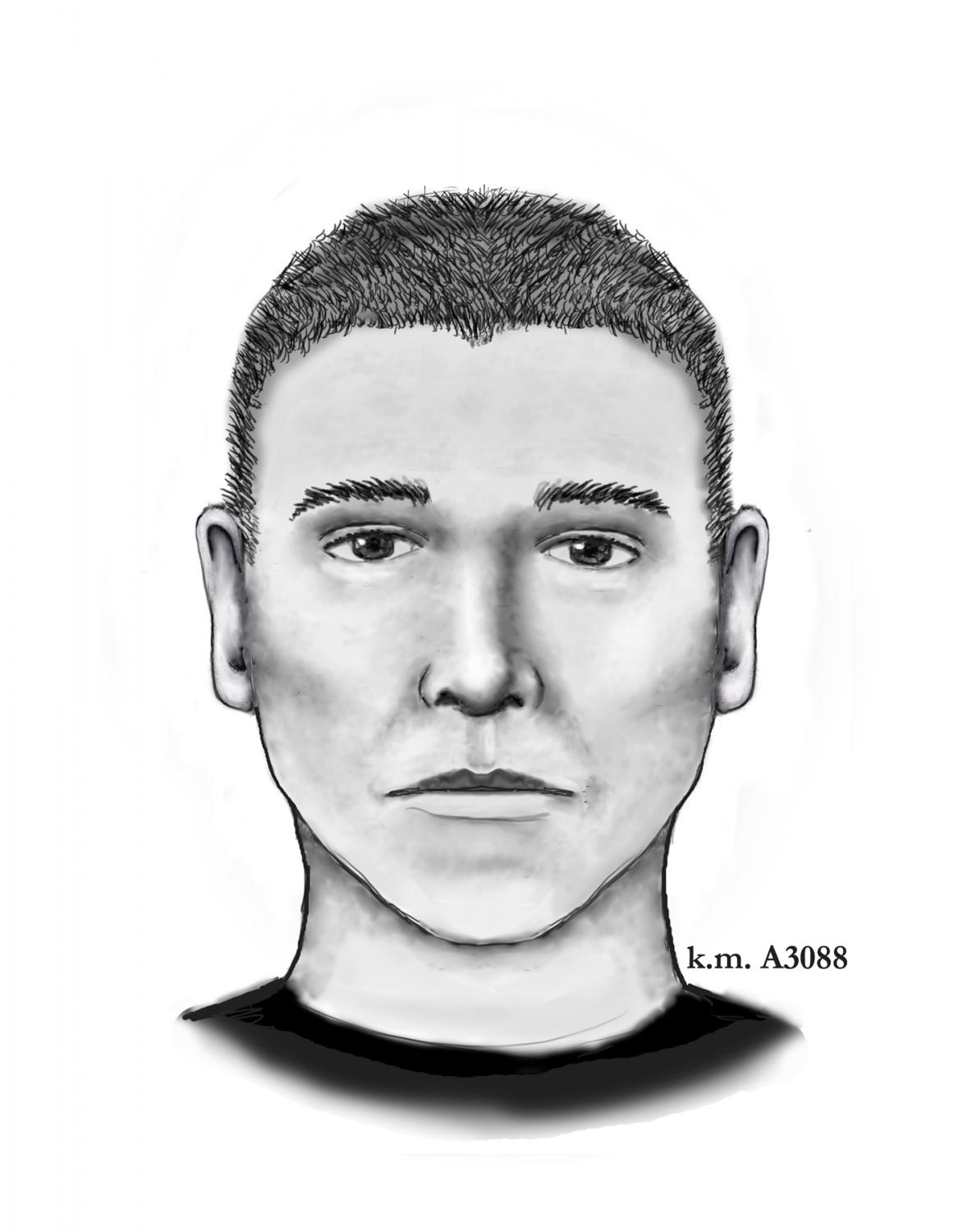 Illustrative portrait for suspected lead 01
